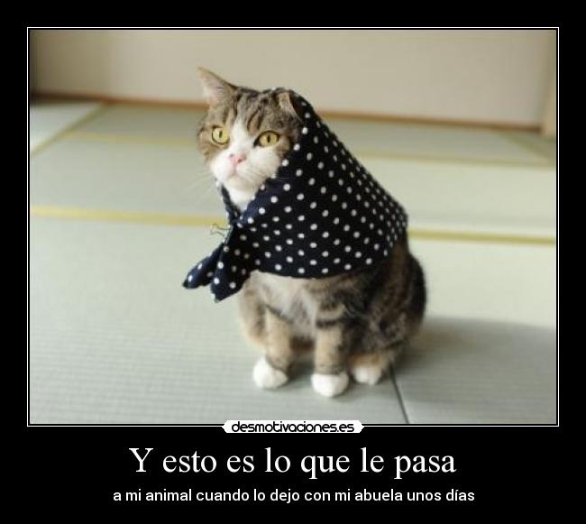 carteles animales desmotivaciones