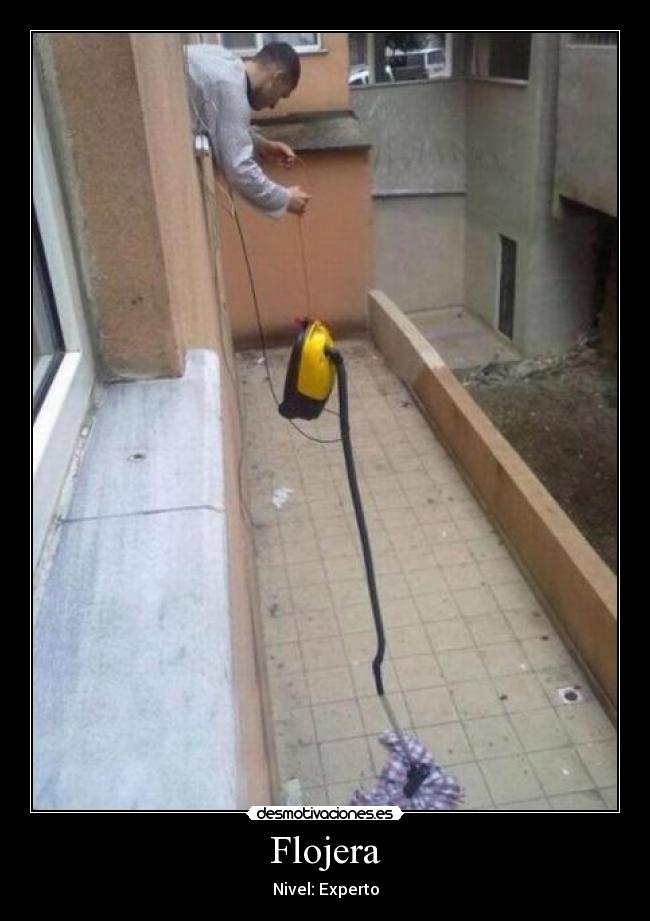 Flojera - Nivel: Experto