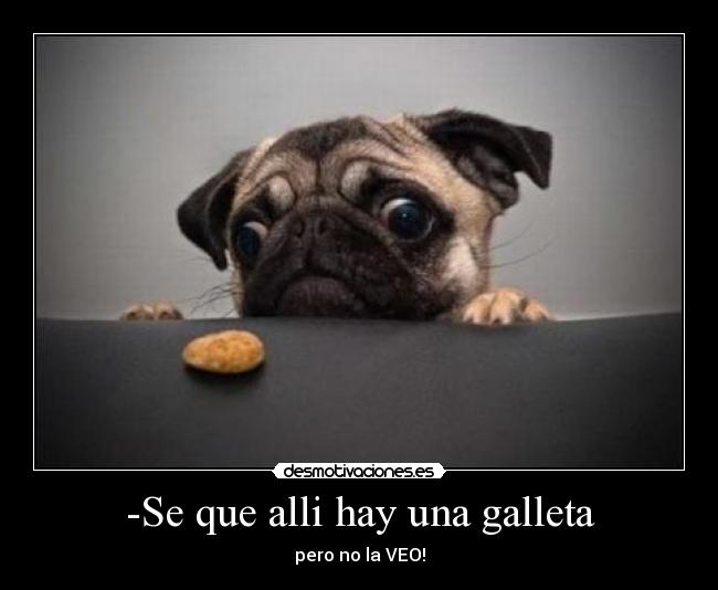 -Se que alli hay una galleta - pero no la VEO!