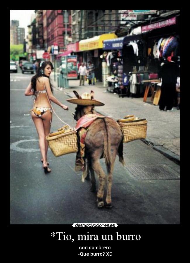 *Tio, mira un burro - con sombrero.
-Que burro? XD
