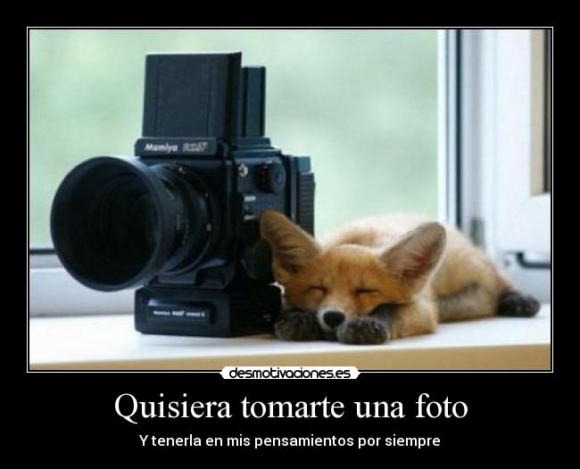 Quisiera tomarte una foto - Y tenerla en mis pensamientos por siempre