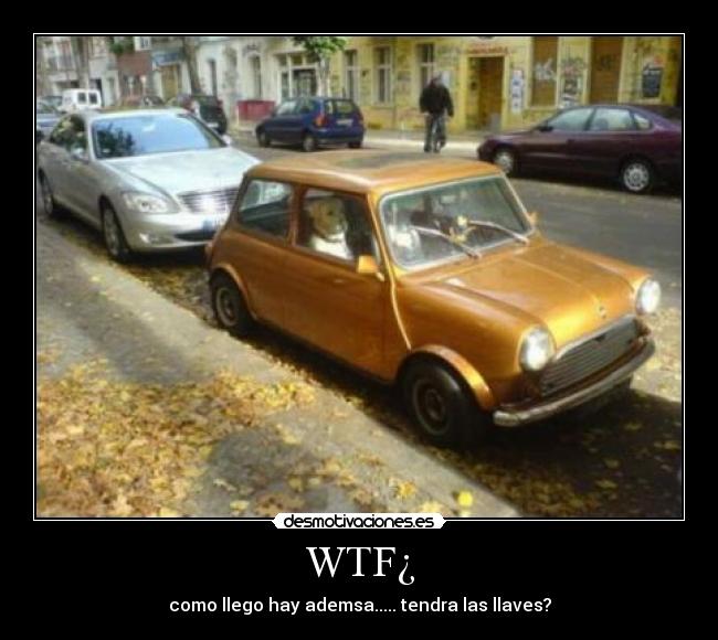 carteles wtf desmotivaciones