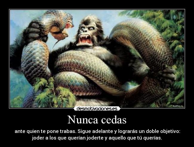 Nunca cedas -
