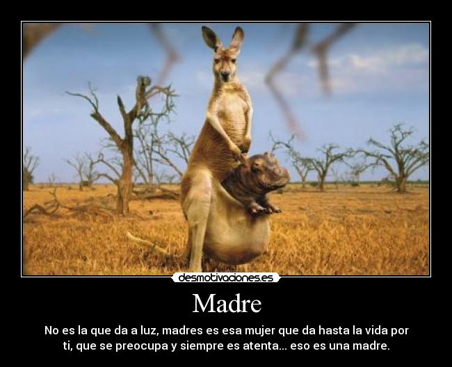 Madre - 