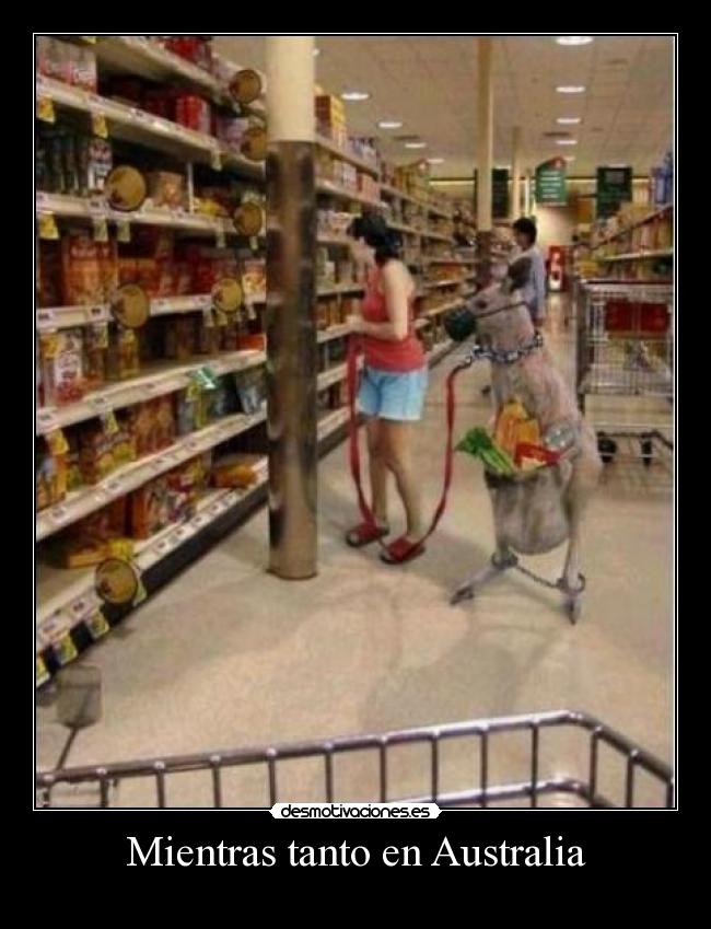 Mientras tanto en Australia - 