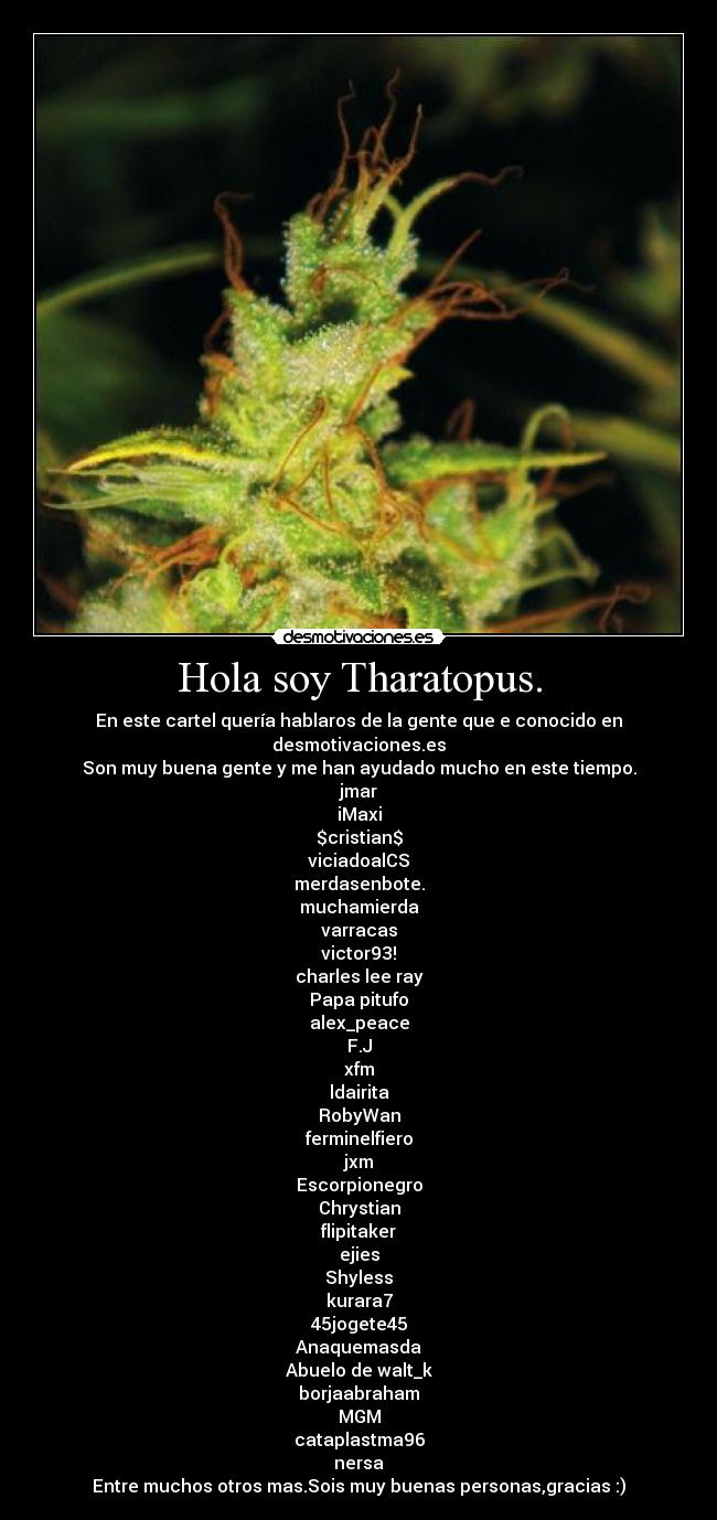 carteles tharatopus desmotivaciones