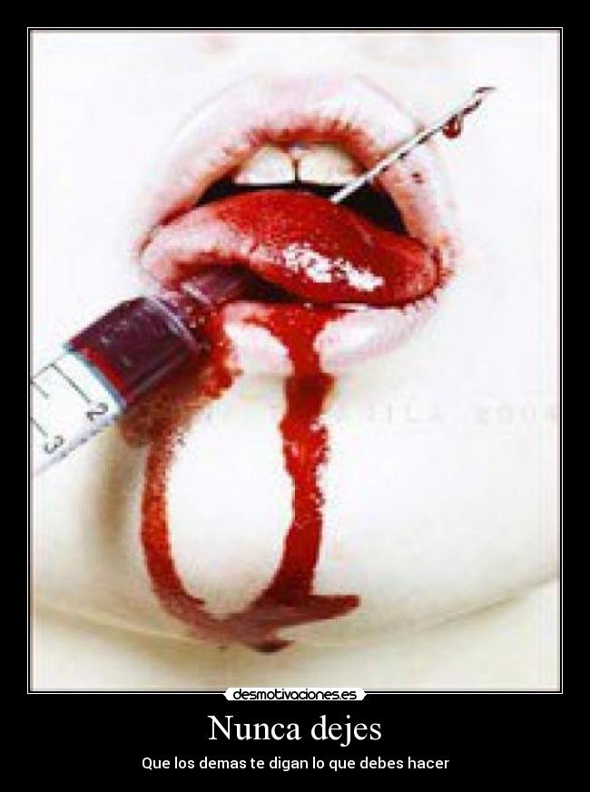 Nunca dejes -