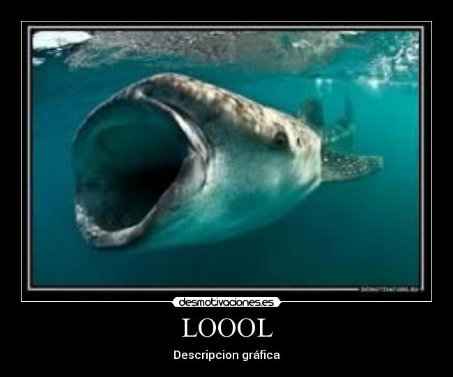 carteles yankaa desmotivaciones