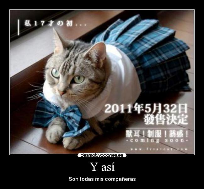 Y así - Son todas mis compañeras