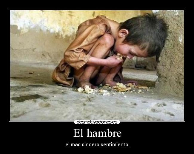 El hambre - el mas sincero sentimiento.