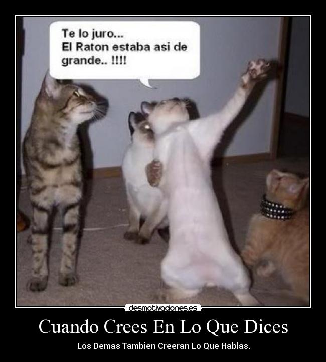 Cuando Crees En Lo Que Dices - Los Demas Tambien Creeran Lo Que Hablas.