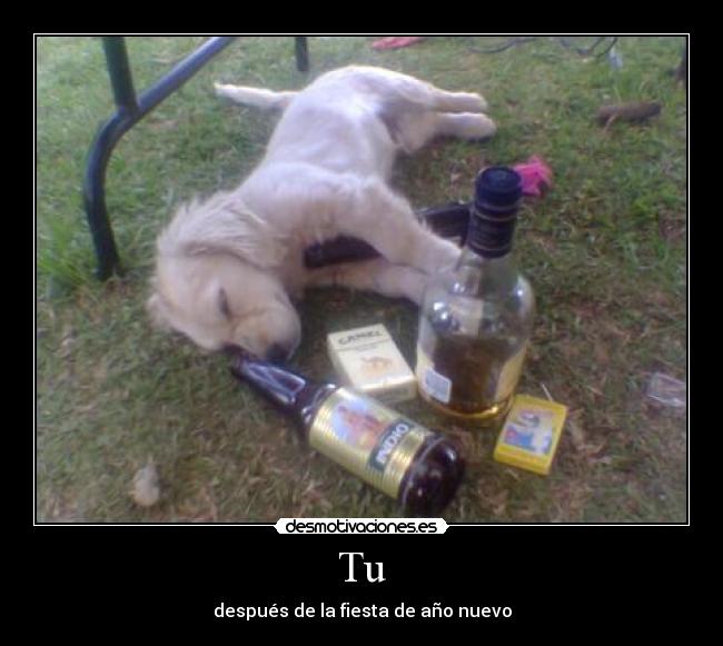 Tu - después de la fiesta de año nuevo