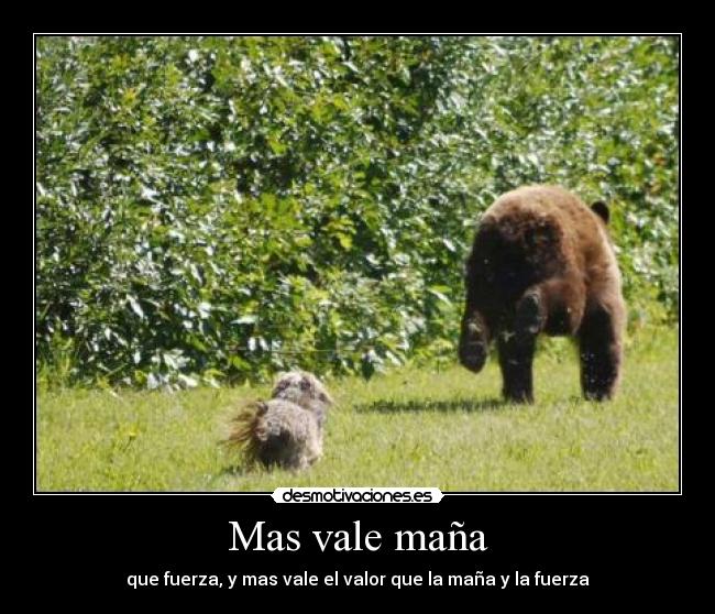 Mas vale maña - que fuerza, y mas vale el valor que la maña y la fuerza