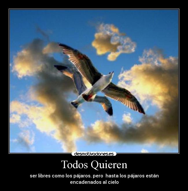 Todos Quieren - ser libres como los pájaros. pero  hasta los pájaros están encadenados al cielo
