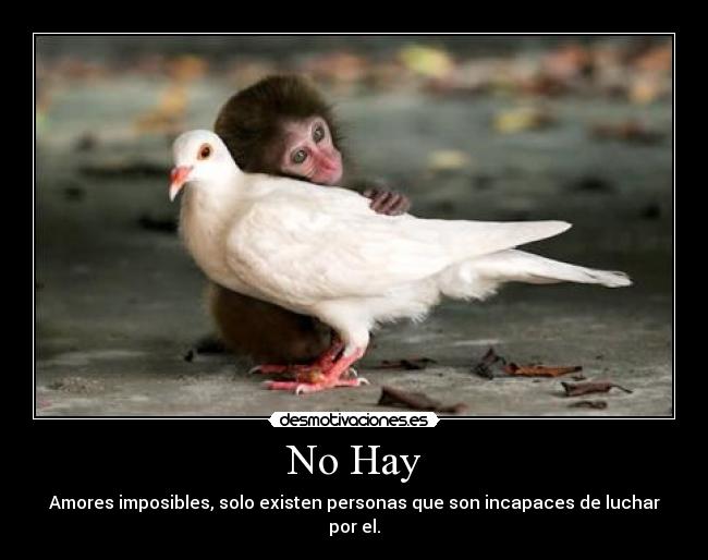 No Hay -