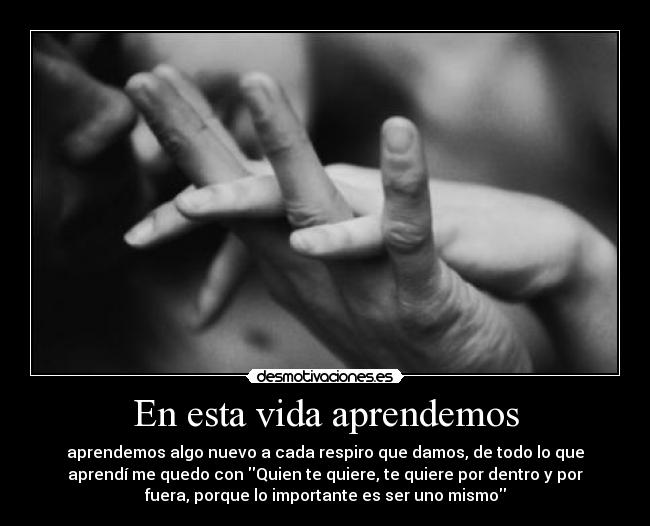 carteles vida vida desmotivaciones