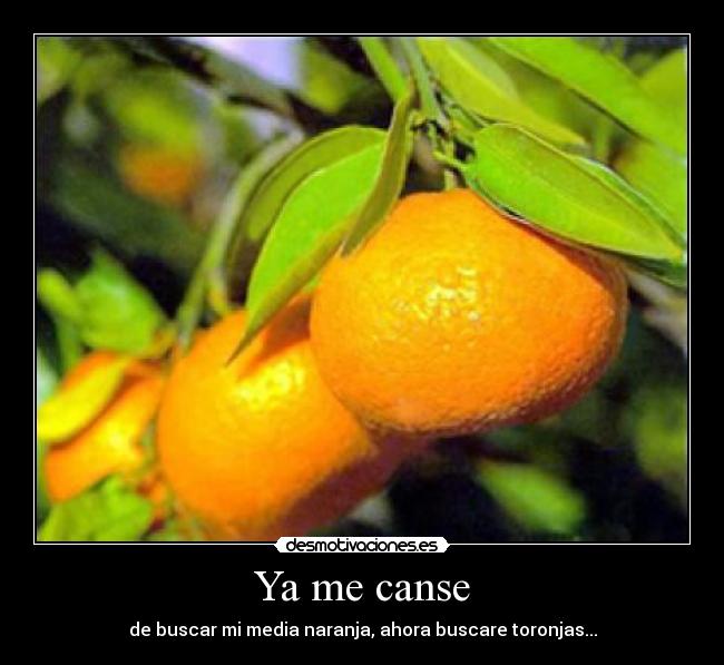 Ya me canse -