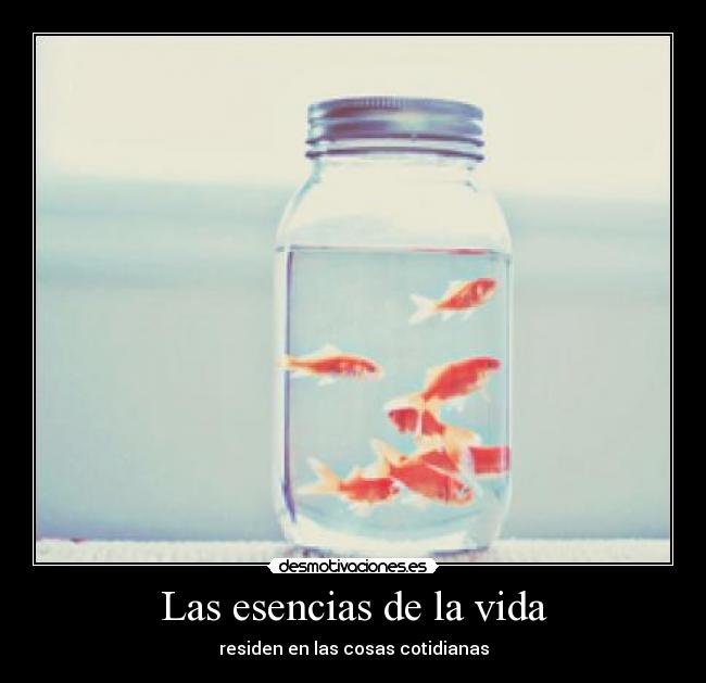 Las esencias de la vida - residen en las cosas cotidianas