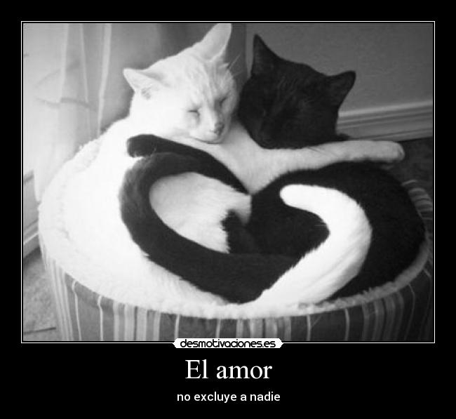 El amor -