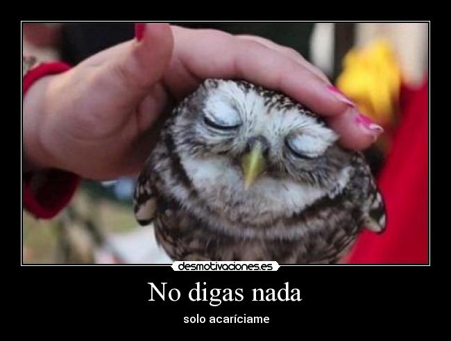 carteles alcohon buho nose pero risa expresion desmotivaciones