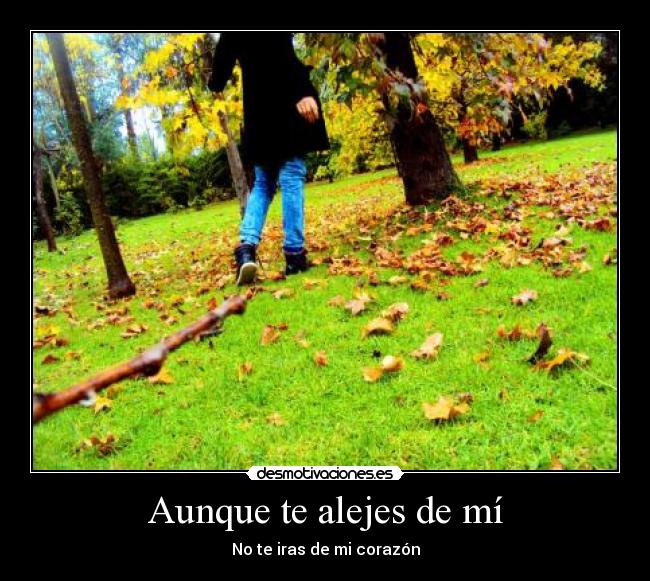 carteles amor perdido desmotivaciones