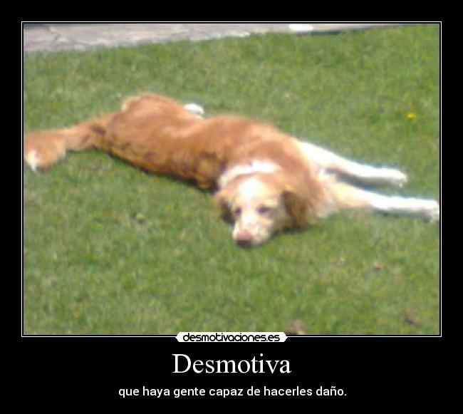 Desmotiva - 
