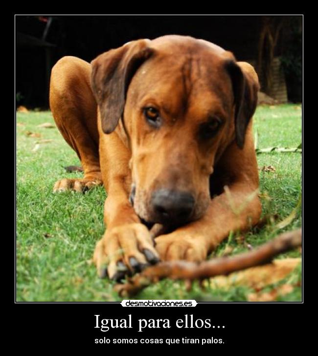 Igual para ellos... - solo somos cosas que tiran palos.