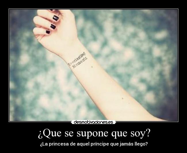 ¿Que se supone que soy? - ¿La princesa de aquel príncipe que jamás llego?