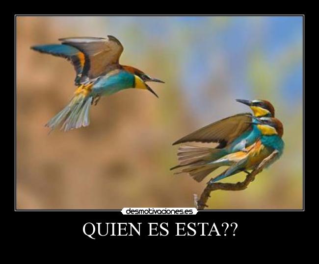 QUIEN ES ESTA?? - 