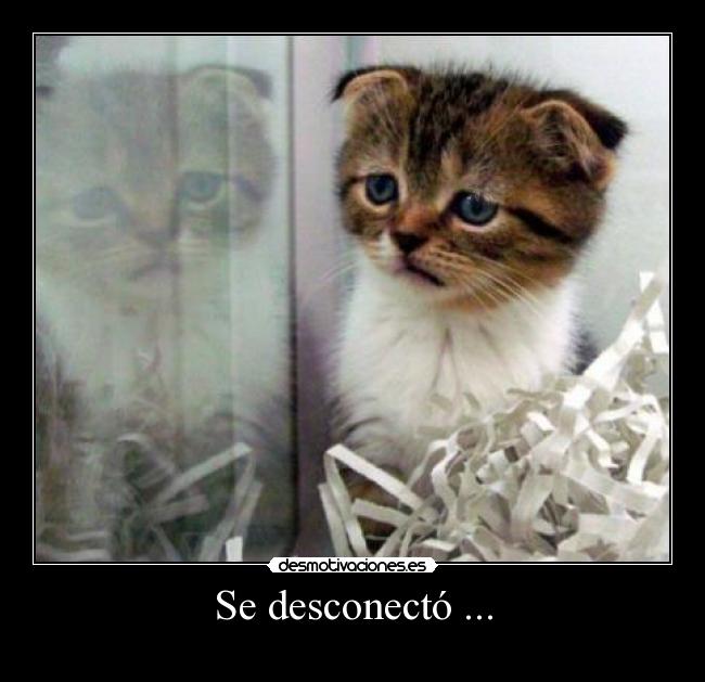 Se desconectó ... -