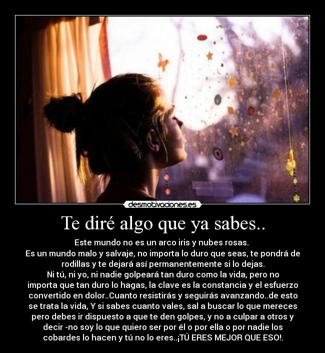 carteles dire algo que sabes sebasloco desmotivaciones