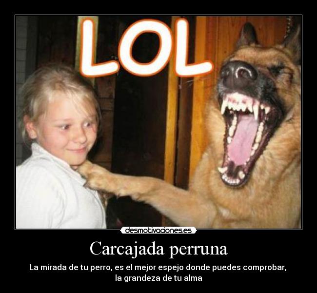 carteles mascotas desmotivaciones