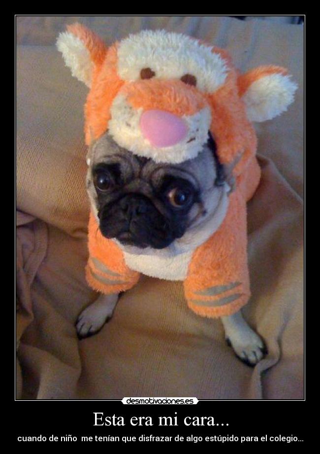 carteles escuela desmotivaciones