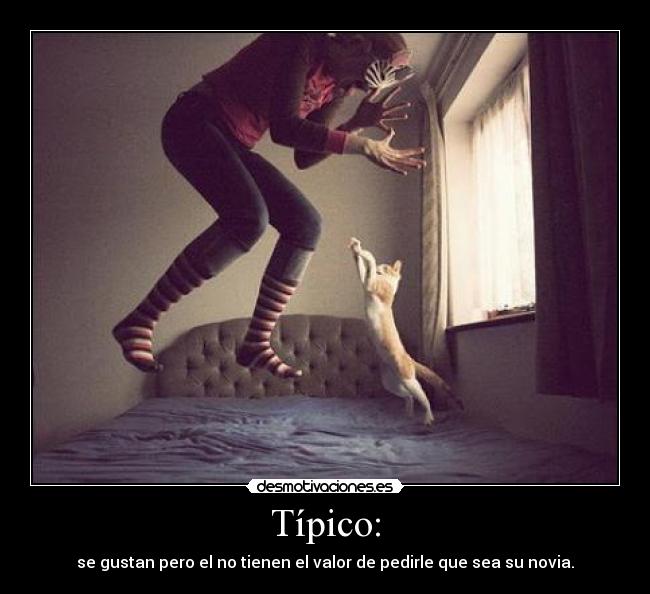 Típico: - se gustan pero el no tienen el valor de pedirle que sea su novia.