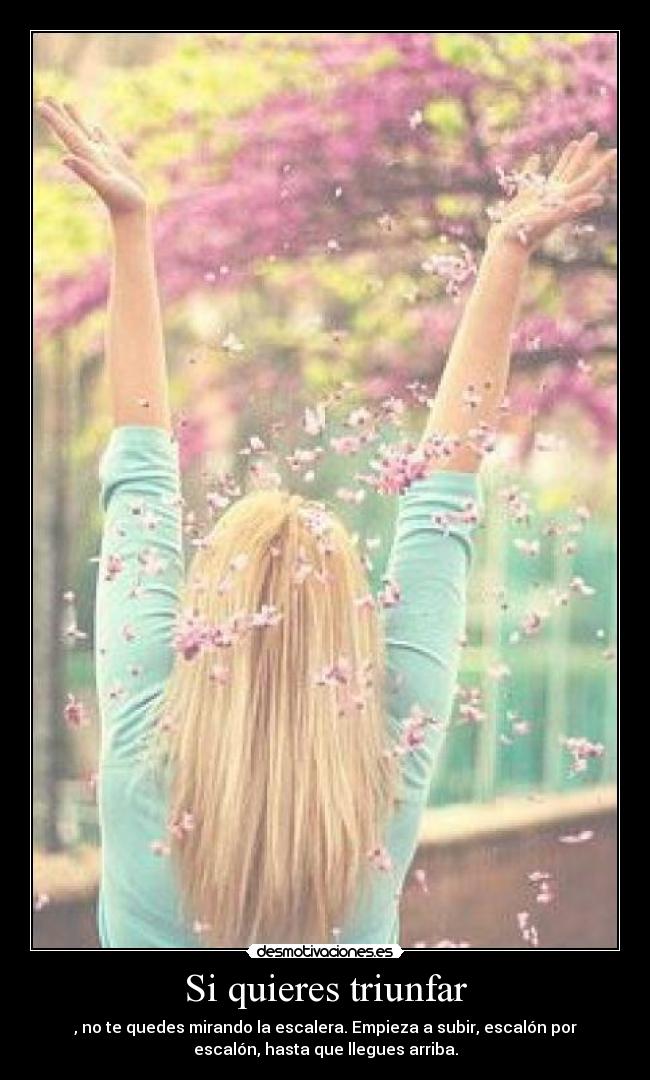 Si quieres triunfar - , no te quedes mirando la escalera. Empieza a subir, escalón por
escalón, hasta que llegues arriba.