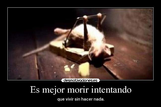 carteles rata tui desmotivaciones