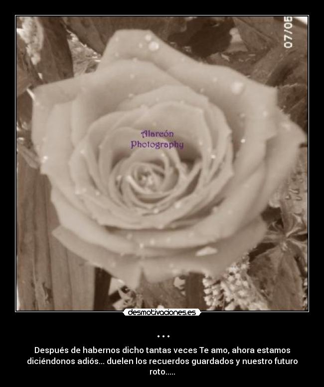 ... - Después de habernos dicho tantas veces Te amo, ahora estamos
diciéndonos adiós... duelen los recuerdos guardados y nuestro futuro
roto.....