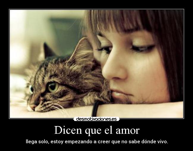 Dicen que el amor - llega solo, estoy empezando a creer que no sabe dónde vivo.