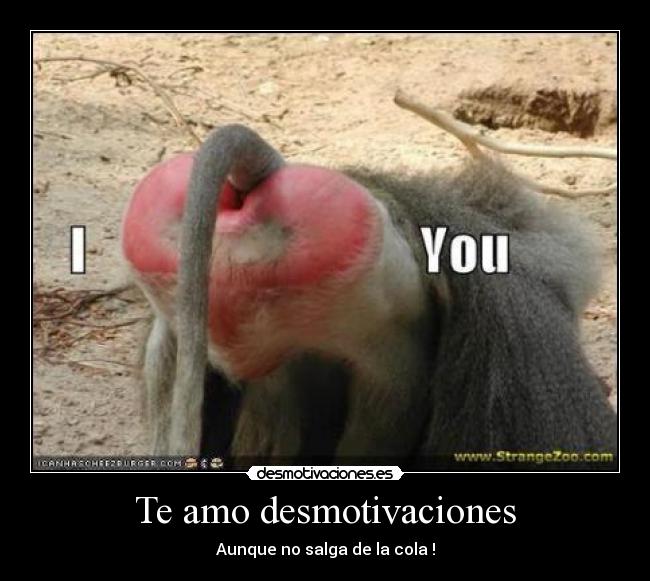 Te amo desmotivaciones - 