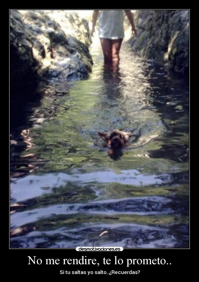 No me rendire, te lo prometo.. - Si tu saltas yo salto..¿Recuerdas?