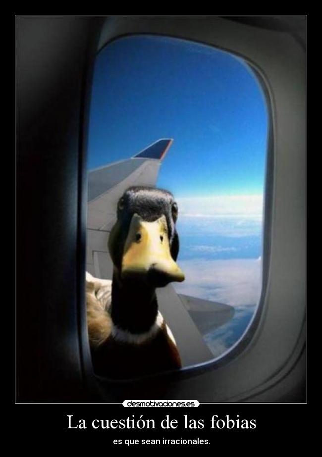 La cuestión de las fobias - 