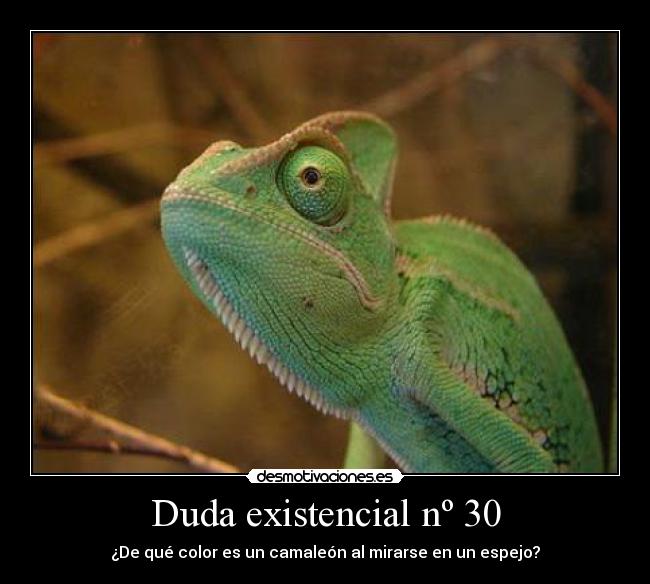 Duda existencial nº 30 -