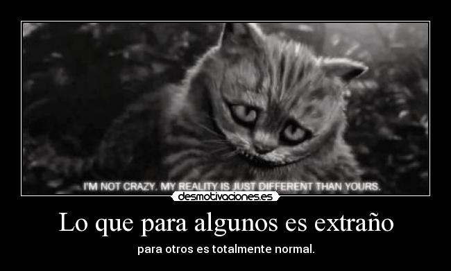 carteles little monsters gatosy mirada sexy agggg jakeyfinn reality desmotivaciones