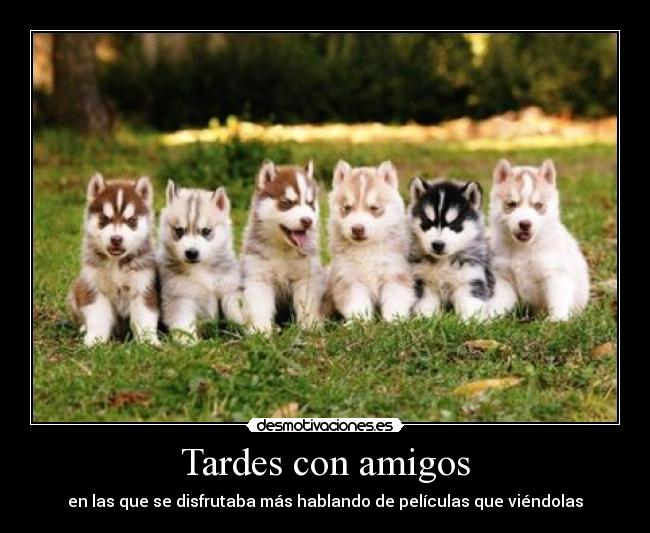 Tardes con amigos - en las que se disfrutaba más hablando de películas que viéndolas