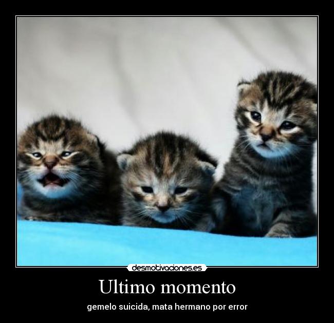 Ultimo momento - 