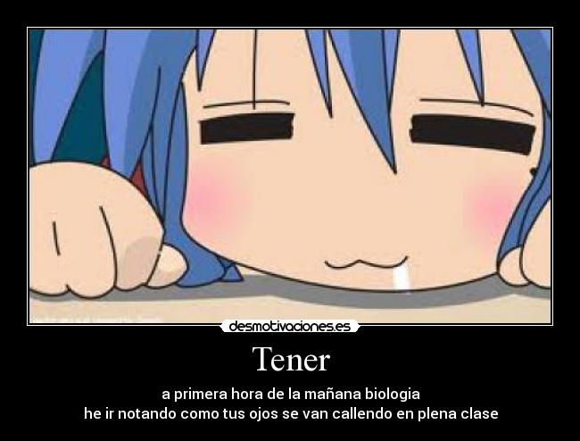 Tener - 
