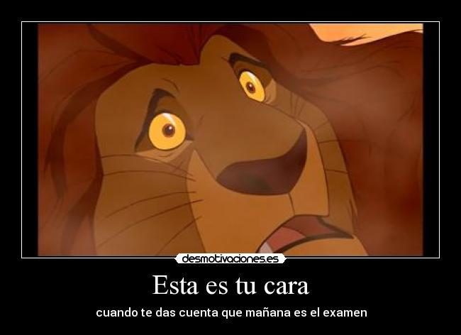 carteles rey leon desmotivaciones