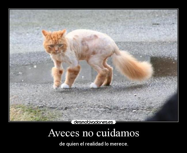 Aveces no cuidamos -