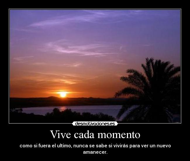 Vive cada momento -
