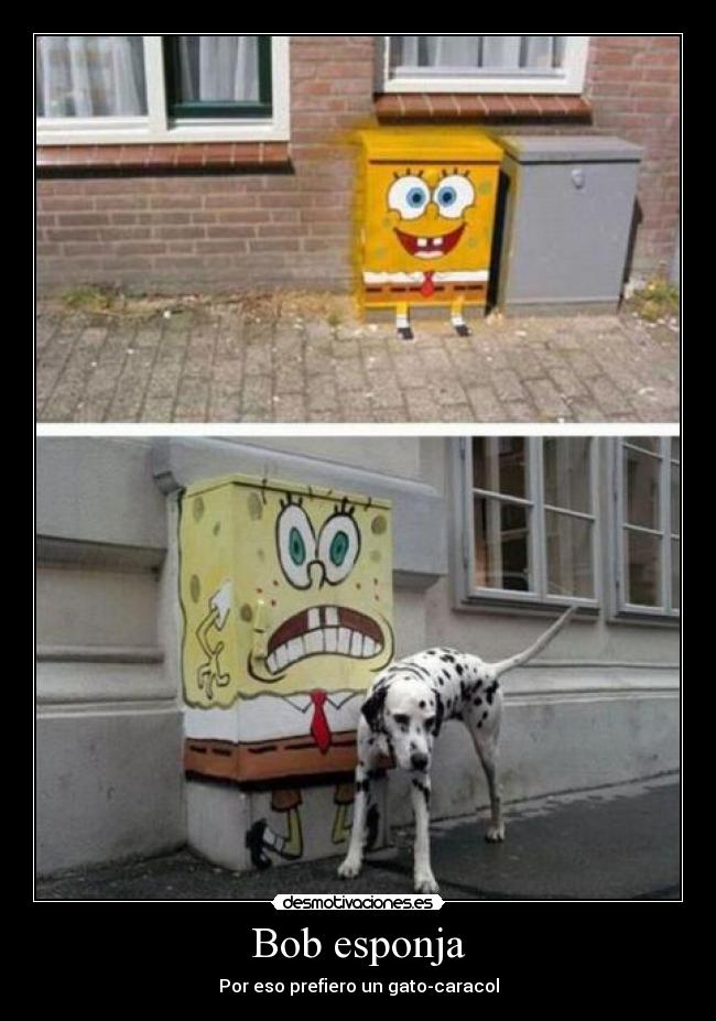 Bob esponja - Por eso prefiero un gato-caracol